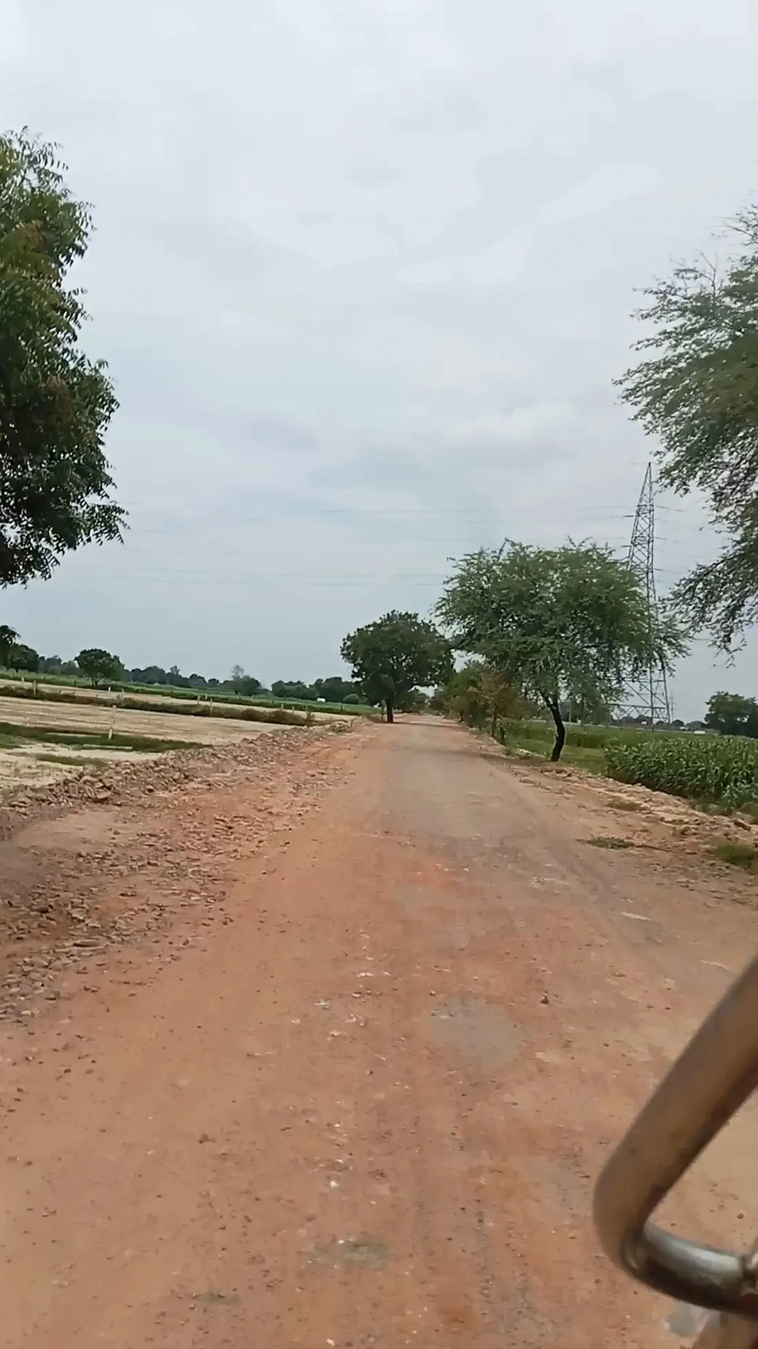 थुरा के जैत गांव में जर्जर सड़कों से लोगों की दिक्कतें, गड्ढे भरवाने की मांग