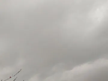 मेरठ में तेज बारिश की झलक, 5-7 मिनट में थमी, गर्मी से बेहाल लोग निराश