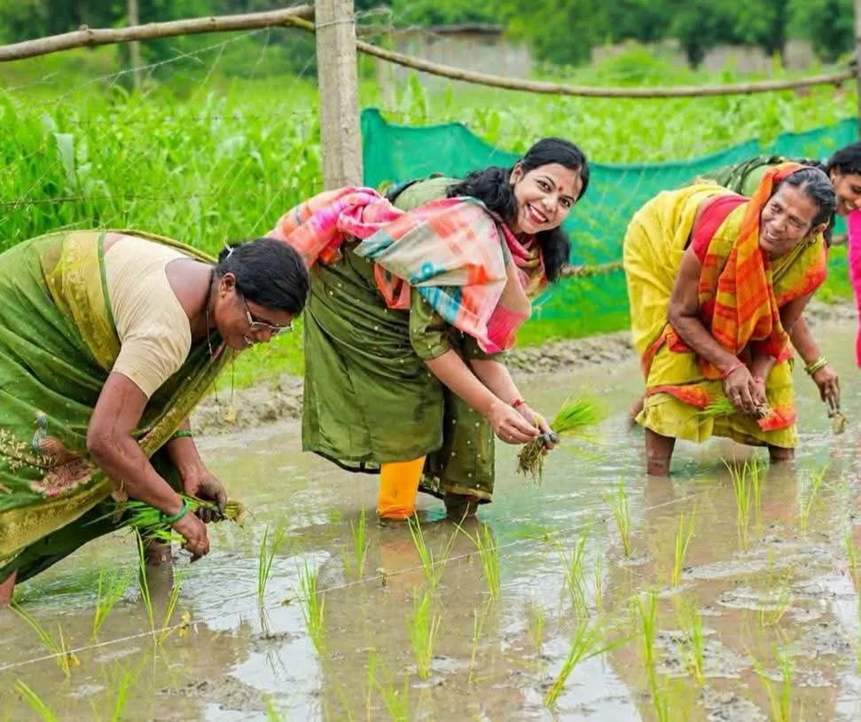 'कलेक्टर दीदी' ने किसानों संग खेत में की धान की रोपनी