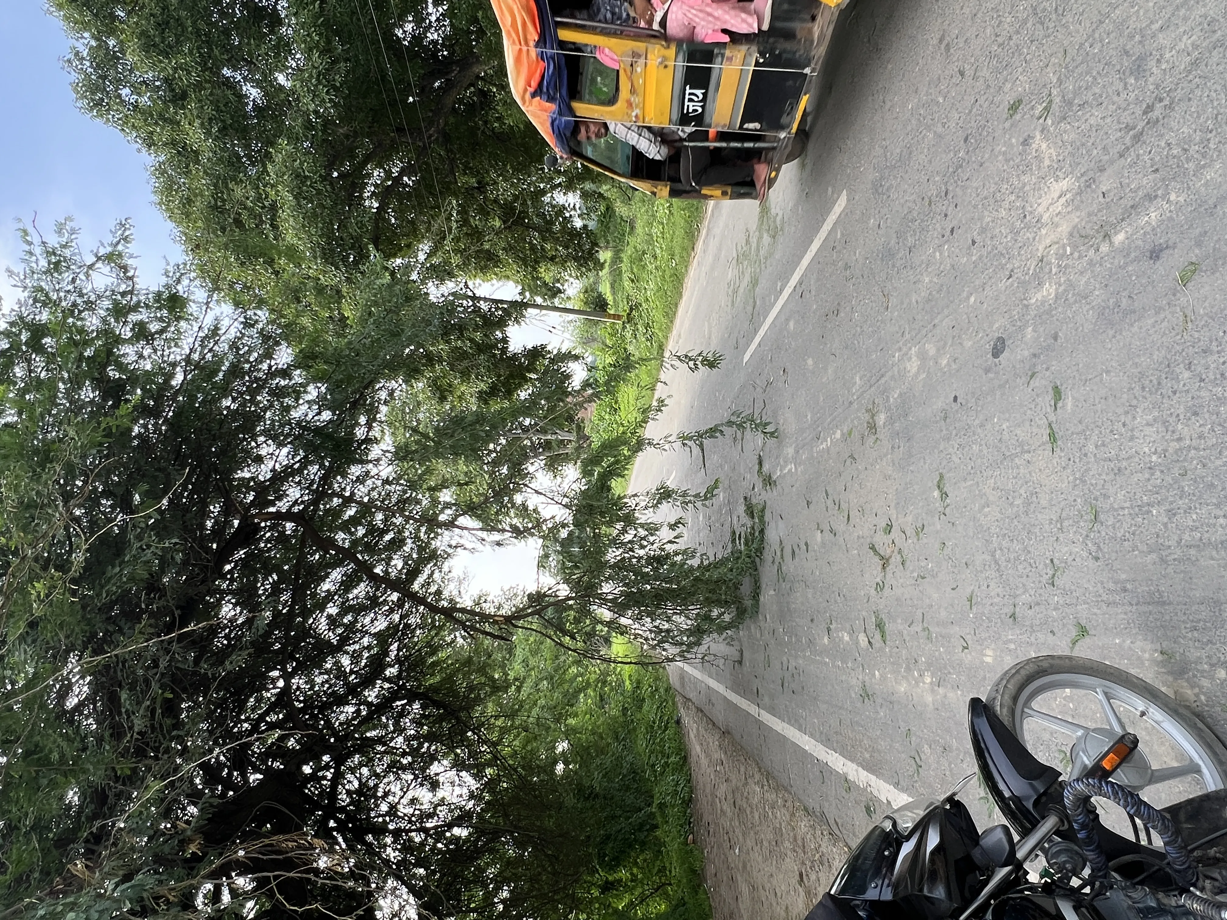 फतेहपुर: बकेवर–खजुहा मुगल रोड पर झुकी पेड़ की डाल से दुर्घटना का खतरा
