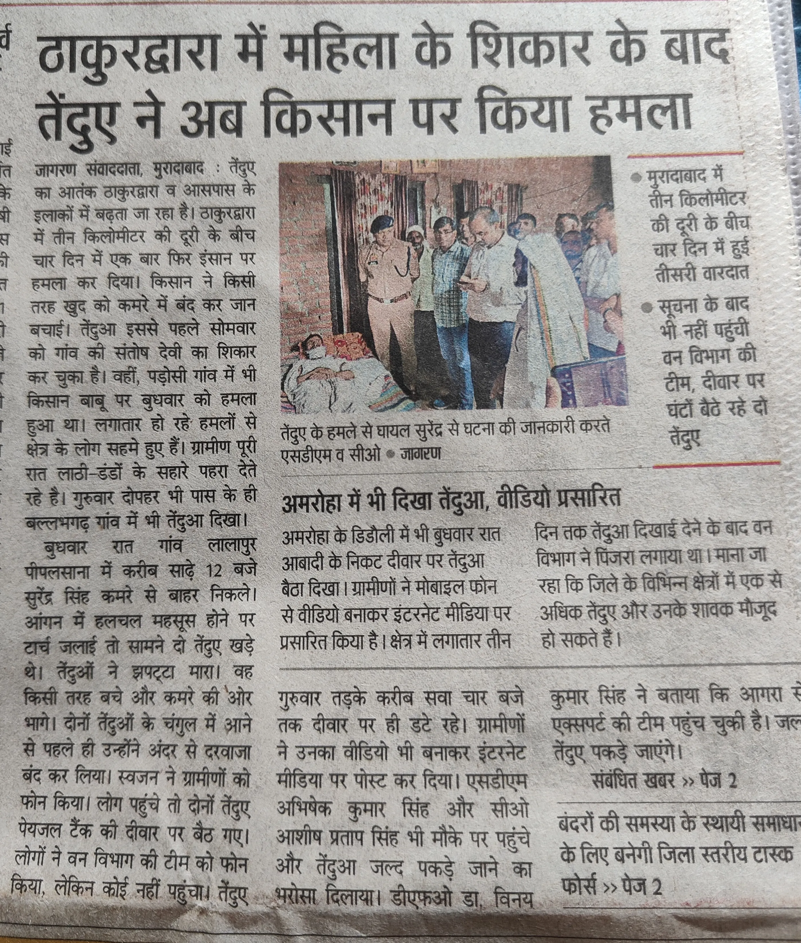मुरादाबाद के ठाकुरद्वारा क्षेत्र में तेंदुओं का आतंक बरकरार, अब एक और किसान पर किया हमला