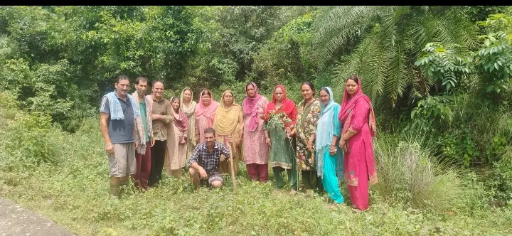 हिमाचल प्रदेश के जिला कांगडा के शाहपुर की ग्राम पंचायत मंझग्रा में किया गया पौधारोपण