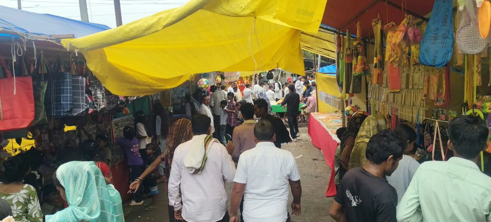 अलरा गौरा में नाग पंचमी मेले में उल्लास, हजारों श्रद्धालुओं ने नाग देवता मंदिर में  दर्शन  किए