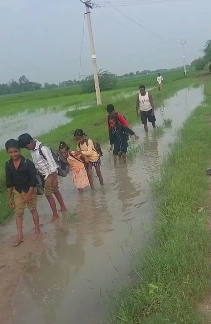 उमरी गांव के भादन का डेरा में पक्की सड़क न होने से कीचड़ में स्कूल जाने को मजबूर बच्चे