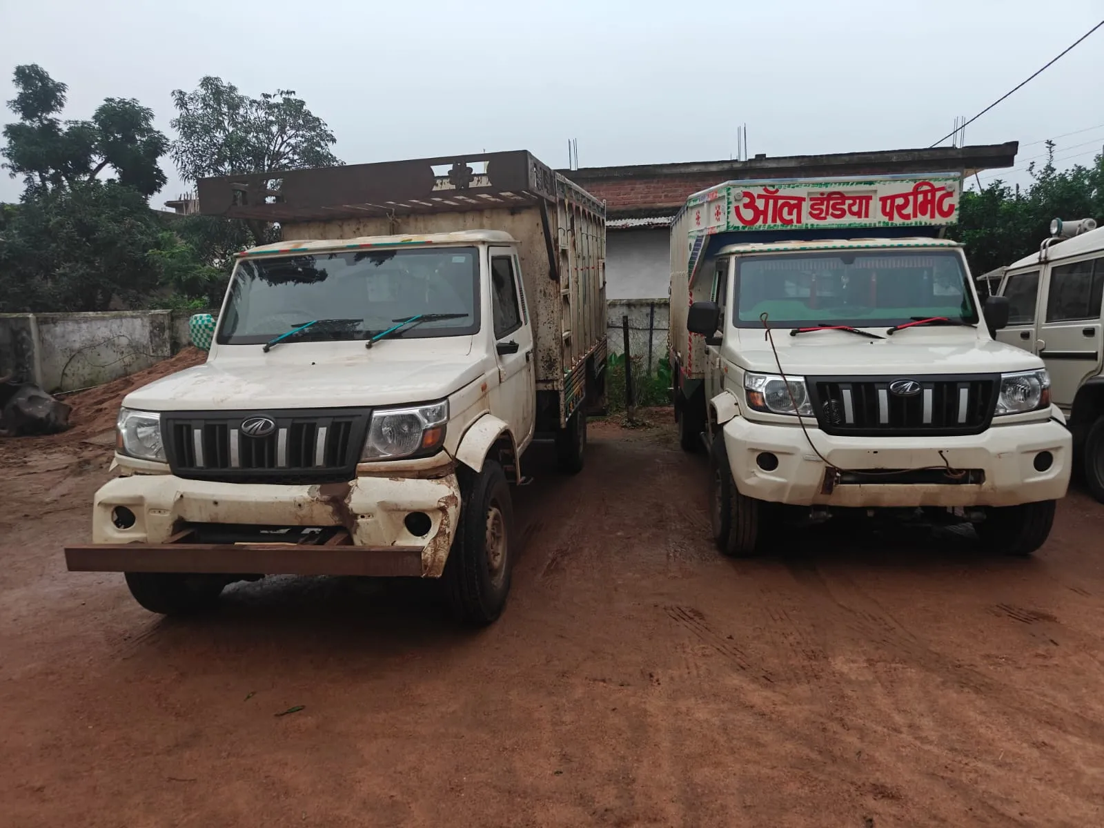 जैतहरी पुलिस की बड़ी कार्रवाई: क्रूरता से भरे दो पिकअप से 14 मवेशी जप्त, एक भैंस की मौत, चालक फरार