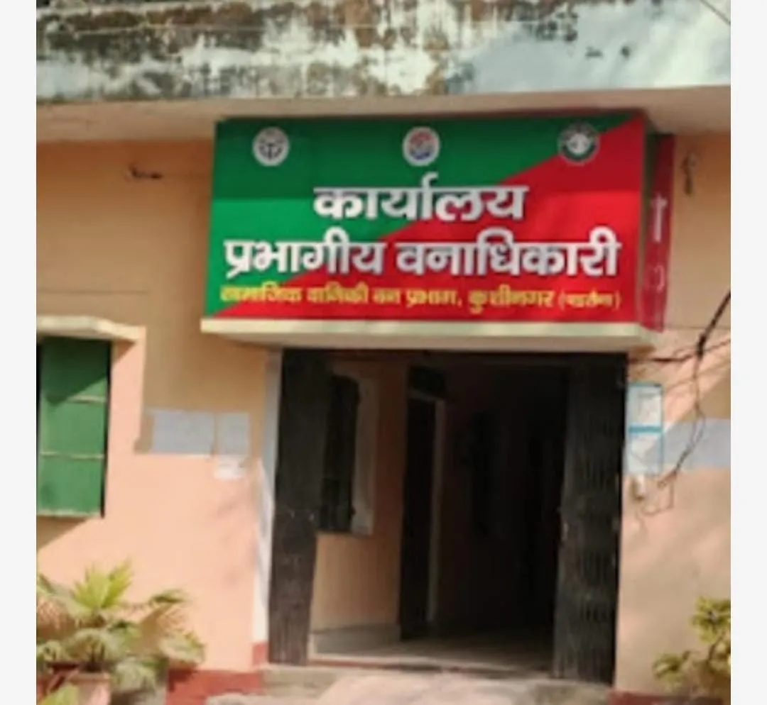 डीएफओ साहब! कहां गये 1.20 करोड पौधे? कुशीनगर में पौधरोपण के रिकॉर्ड पर सवाल