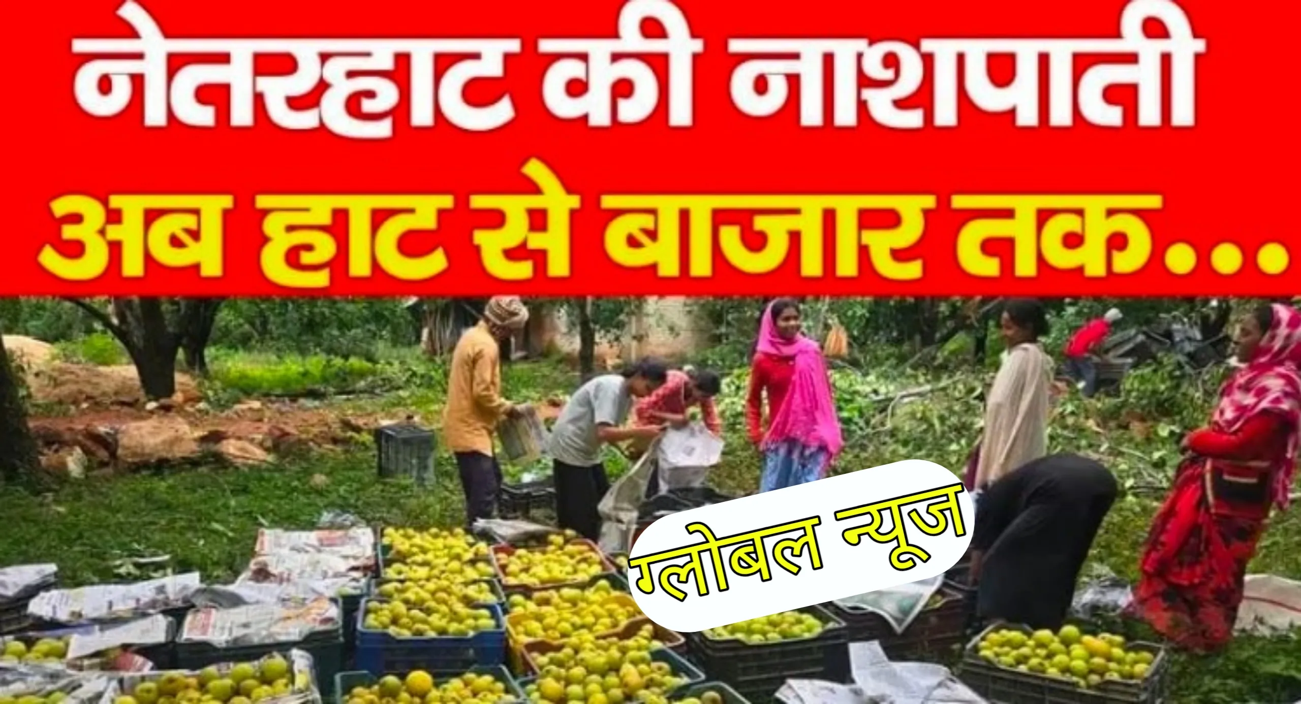 *नेतरहाट की नाशपाती अब हाट से बाजार तक…*