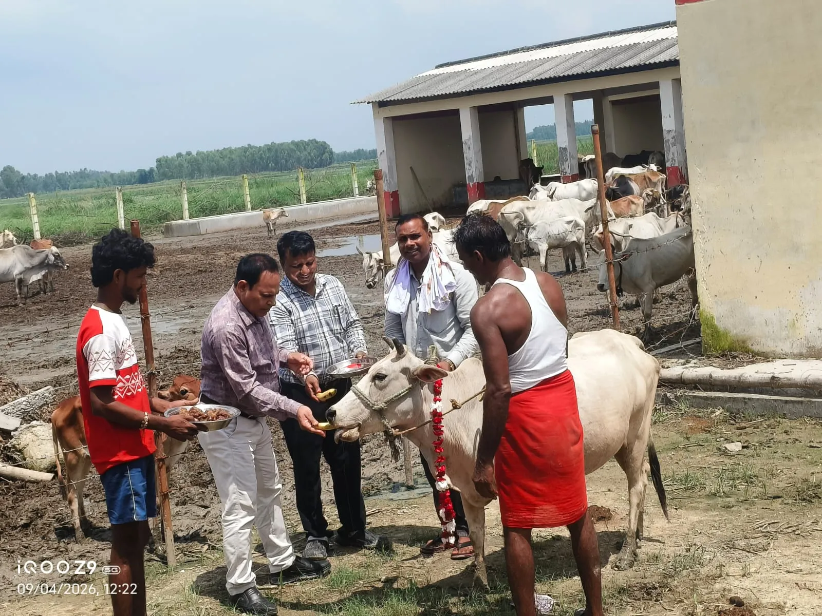 जन्माष्टमी पर गौशाला में हुआ गौ-पूजन, मुख्य पशु चिकित्सा अधिकारी ने खिलाया गुड़-केला और हरा चारा