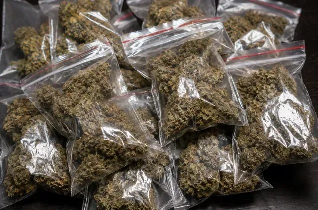Six Odisha Natives Arrested With 53.45 Kg Ganja in Kerala