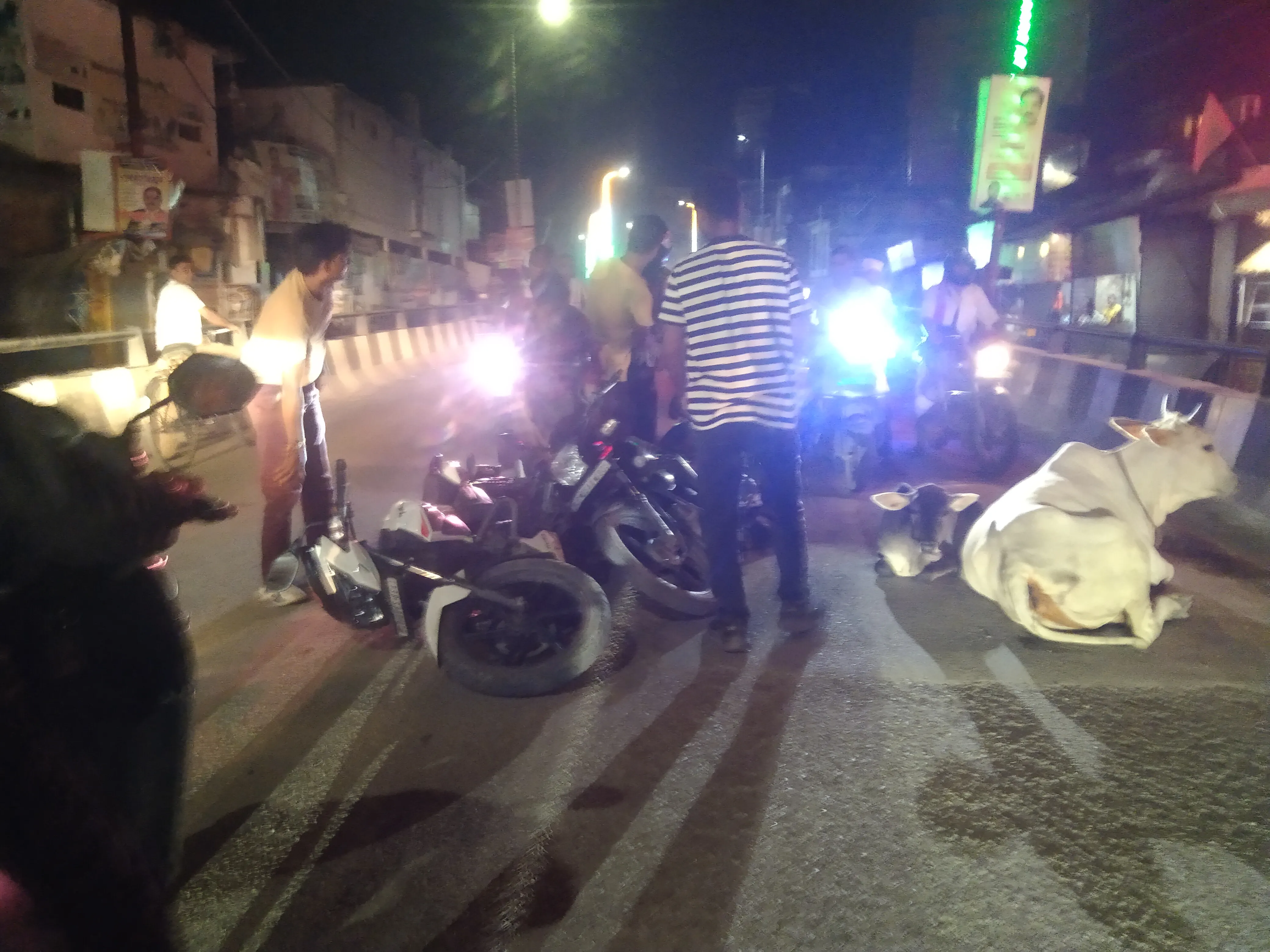 गौशालाएं बनीं, फिर भी सड़कों पर गौवंश! कचहरी पुल पर गौ माता को बचाने में बाइक सवार गिरा, बाल-बाल बचा