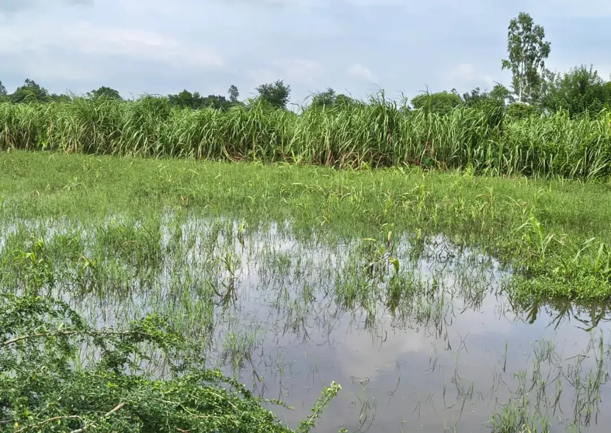 गोंडा में सरयू नदी के उफान से बाढ़ का खतरा, निचले इलाकों में पानी घुसने की आशंका