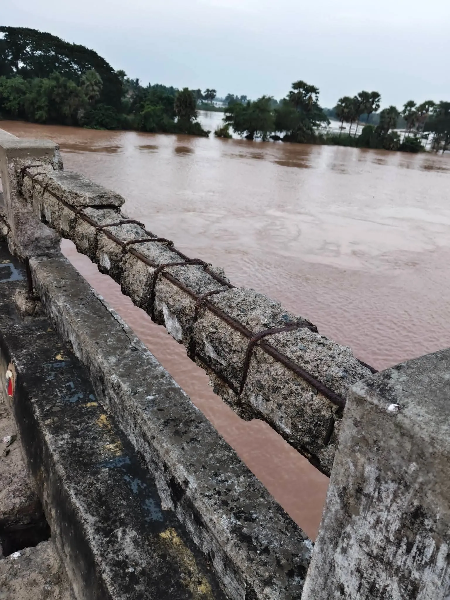 🚨 କାୟାଗୋଲା ବ୍ରିଜ୍‌ର ଅବସ୍ଥା ଅତ୍ୟନ୍ତ ଗୁରୁତର — ତୁରନ୍ତ ପ୍ରଶାସନର ଦୃଷ୍ଟି ଆବଶ୍ୟକ 🚨