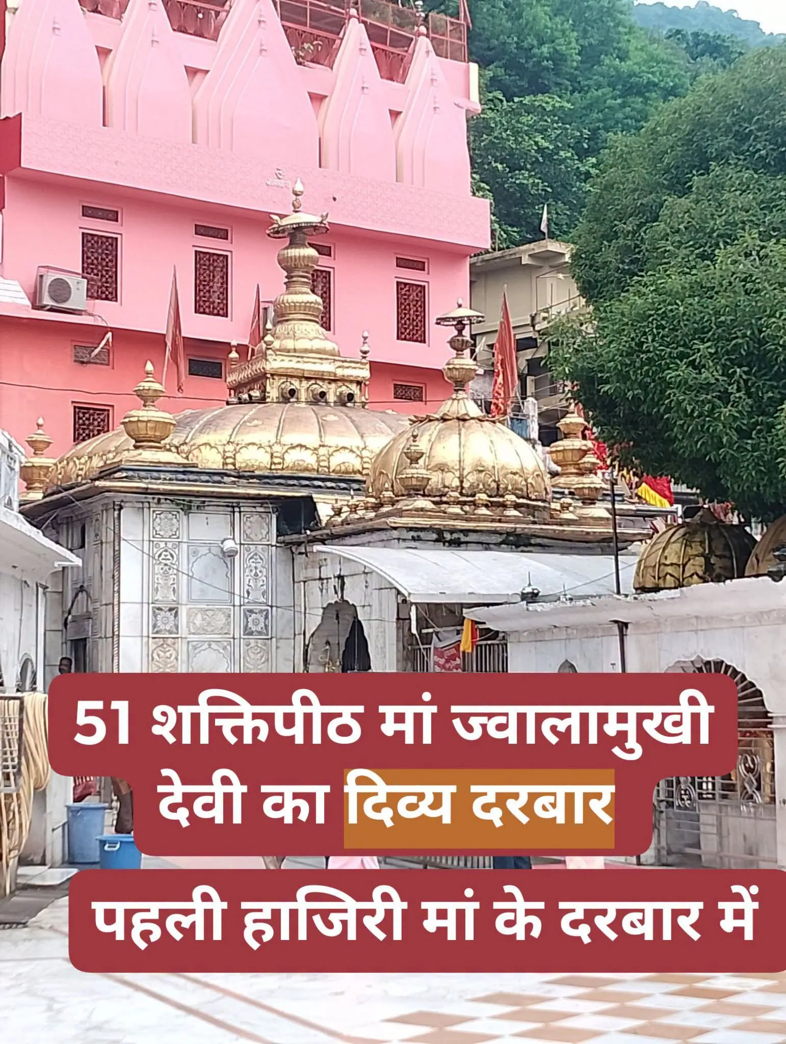 ਮਾਤਾ ਚਿੰਤਪੁਰਨੀ ਦਰਬਾਰ ਮਾਤਾ ਜਵਾਲਾ ਜੀ ਮਾਤਾ ਵੈਸ਼ਨੋ ਦੇਵੀ ਦਰਬਾਰ ਦੇ ਦਰਸ਼ਨ  ਮਨ ਮੋਹਣੀਆਂ ਤਸਵੀਰਾਂ