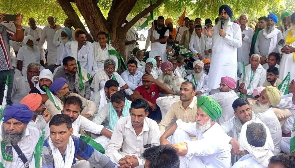 सिरसा में हैफेड कैटल फीड प्लांट पर FIR, यूरिया के कथित गलत इस्तेमाल का मामला