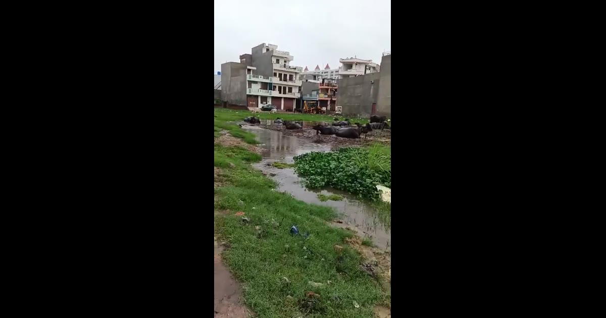 बालाजी पुरम 2000 परिवार क्या ऐसे रहेंगे कानपुर में?