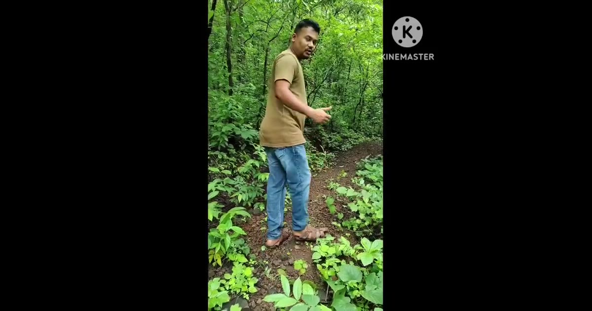 जल जंगल जमीन ही आमची माय माऊली