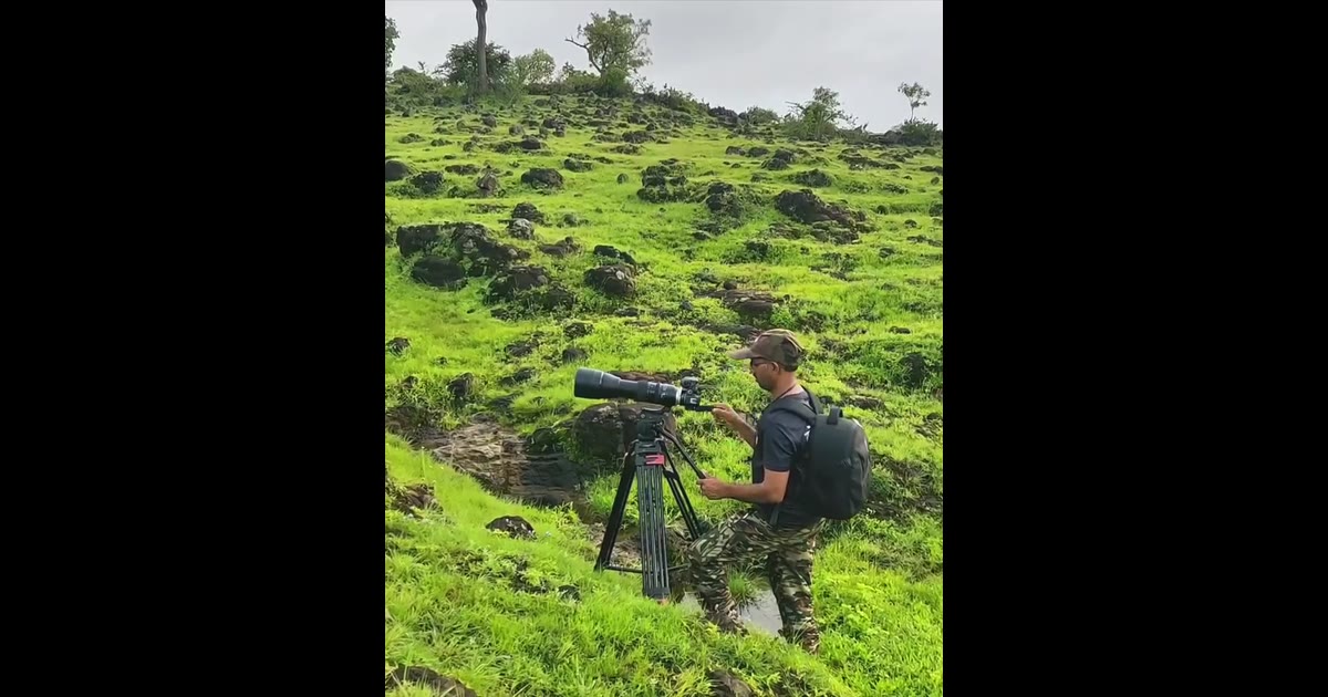 हा लहान मिनिवेट (Small Minivet) नावाचा पक्षी आहे. हा एक नर (Male) आहे.

हा पक्ष्यांच्या जगातल्या सर्वात सुंदर आणि रंगीबे